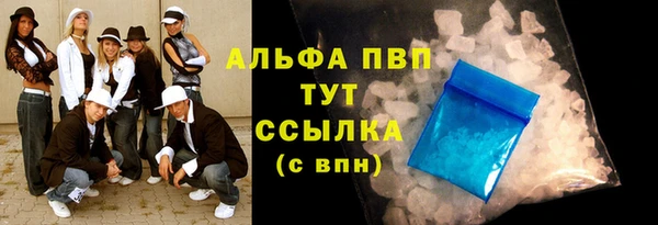эйфоретик Богданович