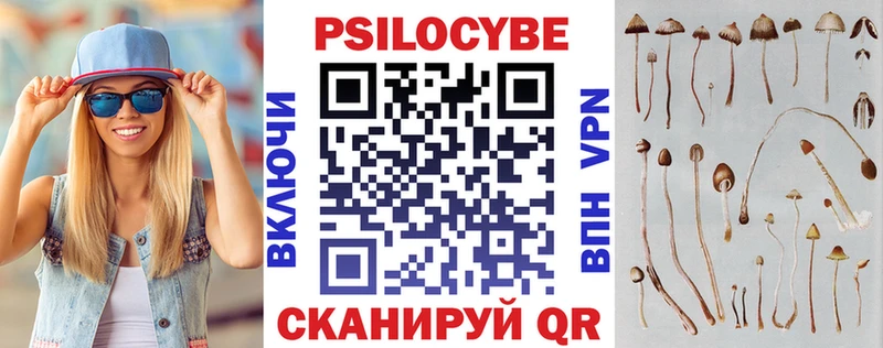 Псилоцибиновые грибы Psilocybe  Северск 
