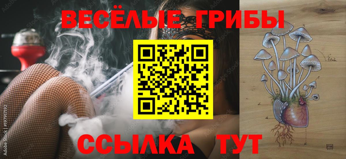Северск  Галлюциногенные грибы Magic Shrooms  Вход с VPN 