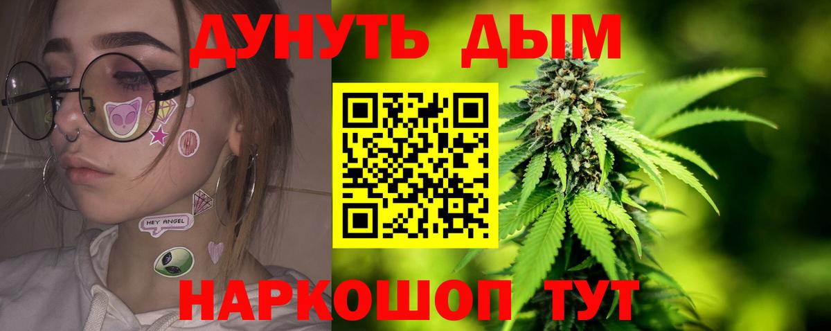 Канабис сатива Северск